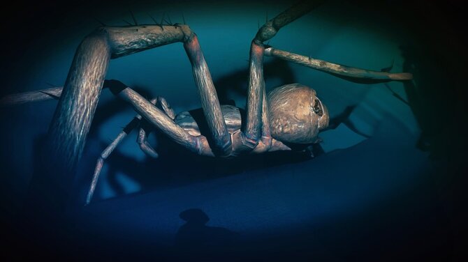 VERY BAD DREAMS 