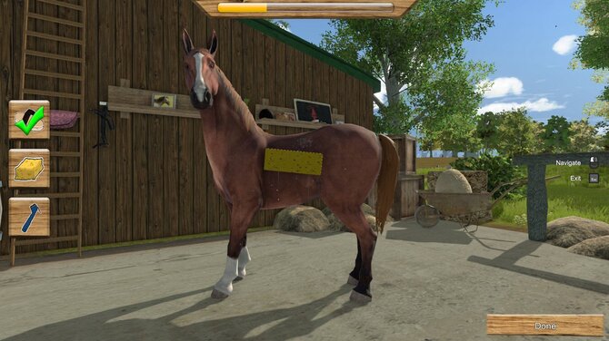 My Little Riding Champion 