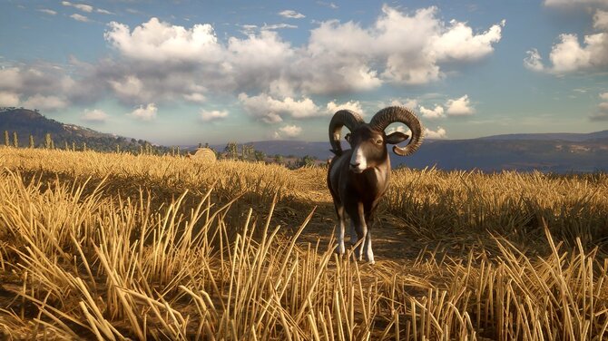 theHunter: Call of the Wild Diamond Bundle 