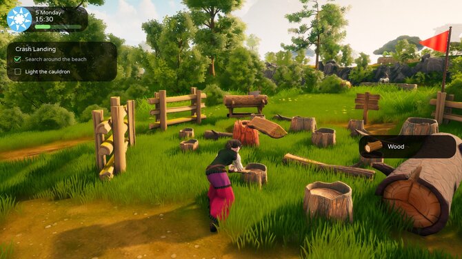 The Witch of Fern Island 