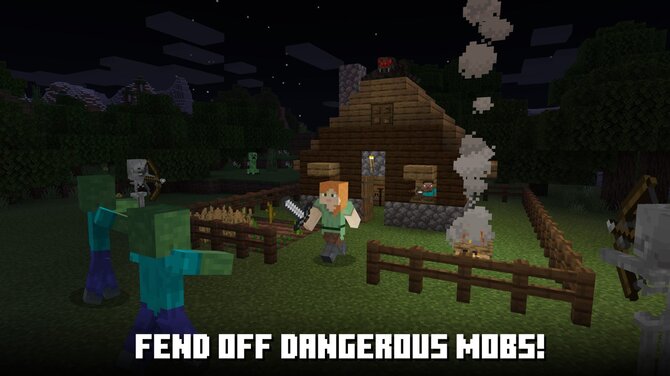 Minecraft for 