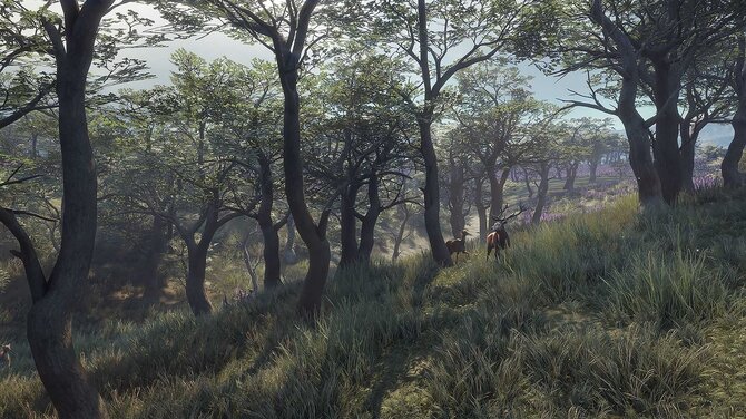 theHunter: Call of the Wild Diamond Bundle 