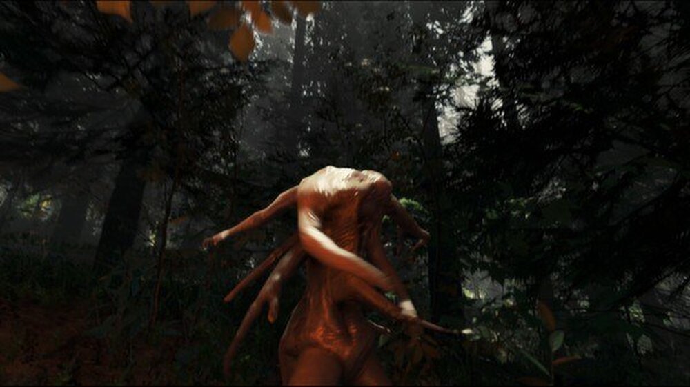 The Forest 