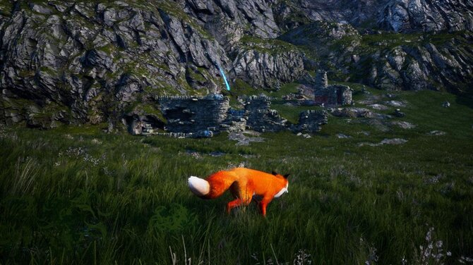Spirit of the North 