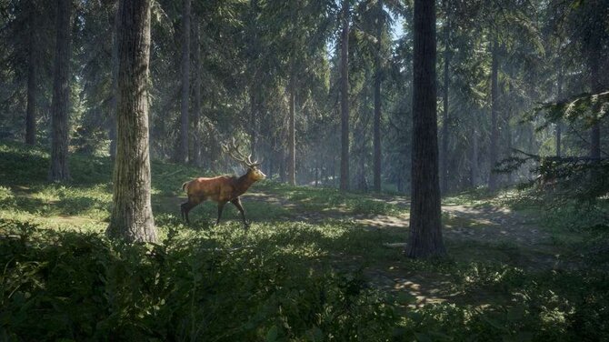 theHunter: Call of the Wild 