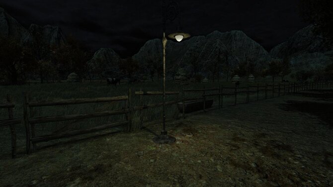 The Cows Are Watching 