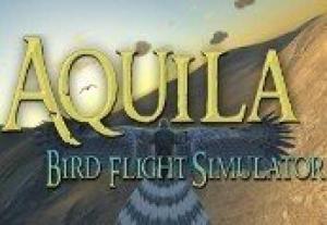 Aquila Bird Flight Simulator