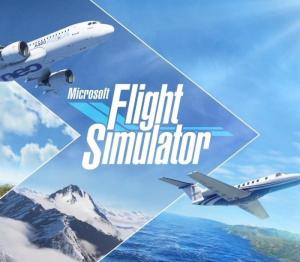 Microsoft Flight Simulator
