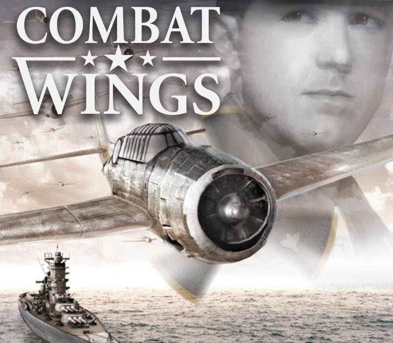 Combat Wings